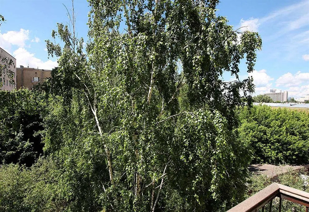 Apartment on Lesi Ukrainki Boulevard