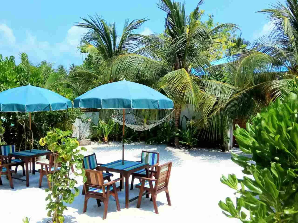 Oliva Palm Cottages