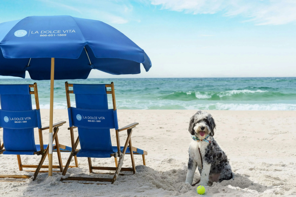 Four Points by Sheraton Destin - Fort Walton Beach