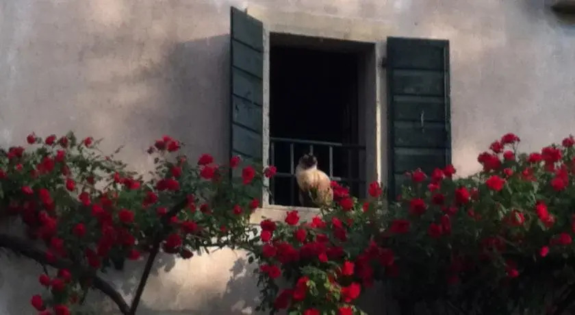 B&B Giardino Di Mezzavilla
