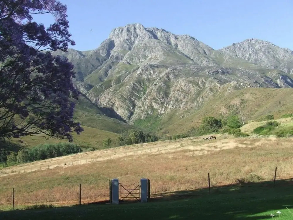 Die Laaitjie