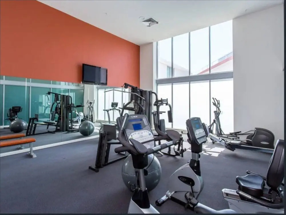 Beautiful 1 Bedroom Gold Coast Retreat With Free Parking