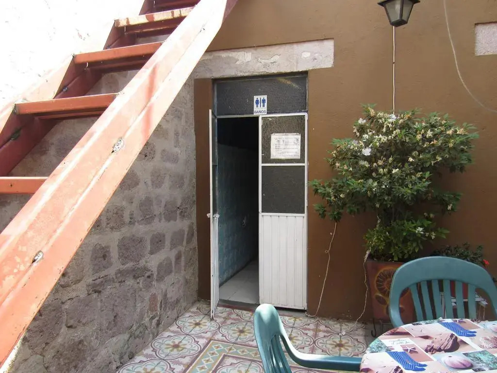 The Only Backpackers Morelia