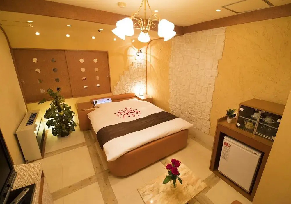 Hotel Metro