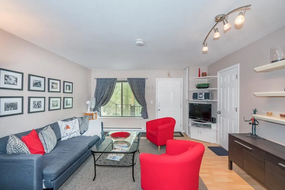Boomerang Village 206 1 Bedroom Condo By Accommodations in Telluride