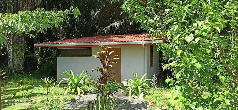 Selva Linda Lodge jungle wildlife vue and birdwatching