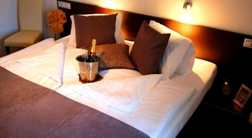 Wine & Wellness hotel Besední dům