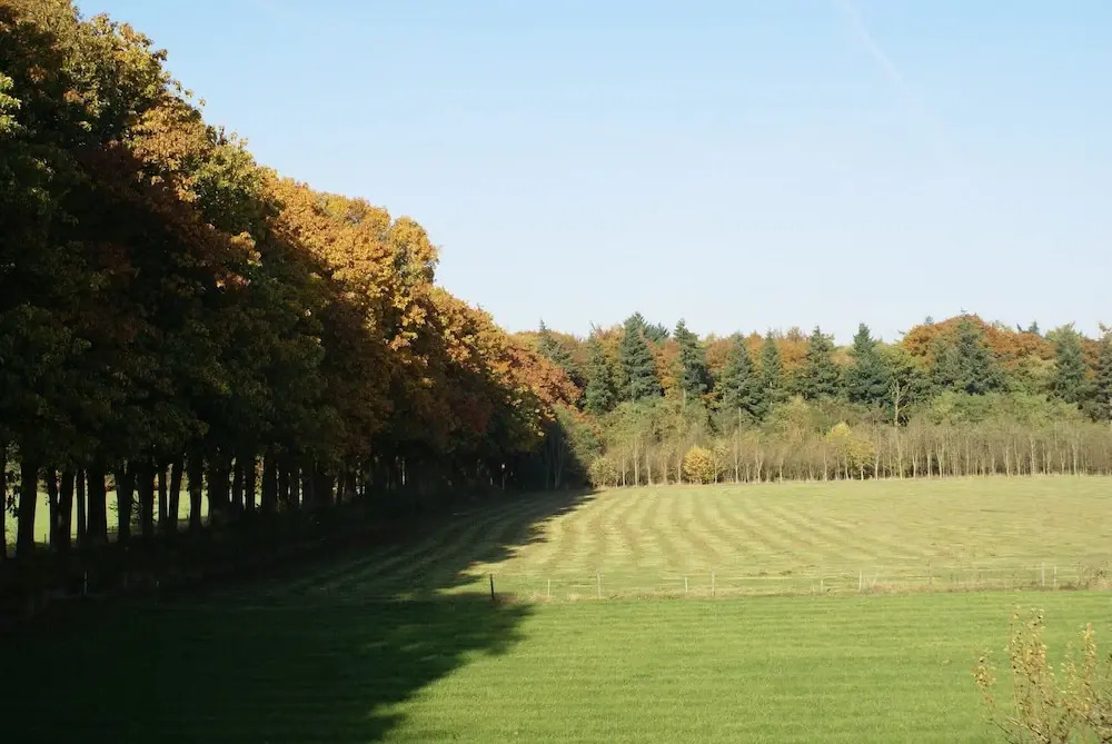 Peaceful Farmhouse in Doorn near Forest