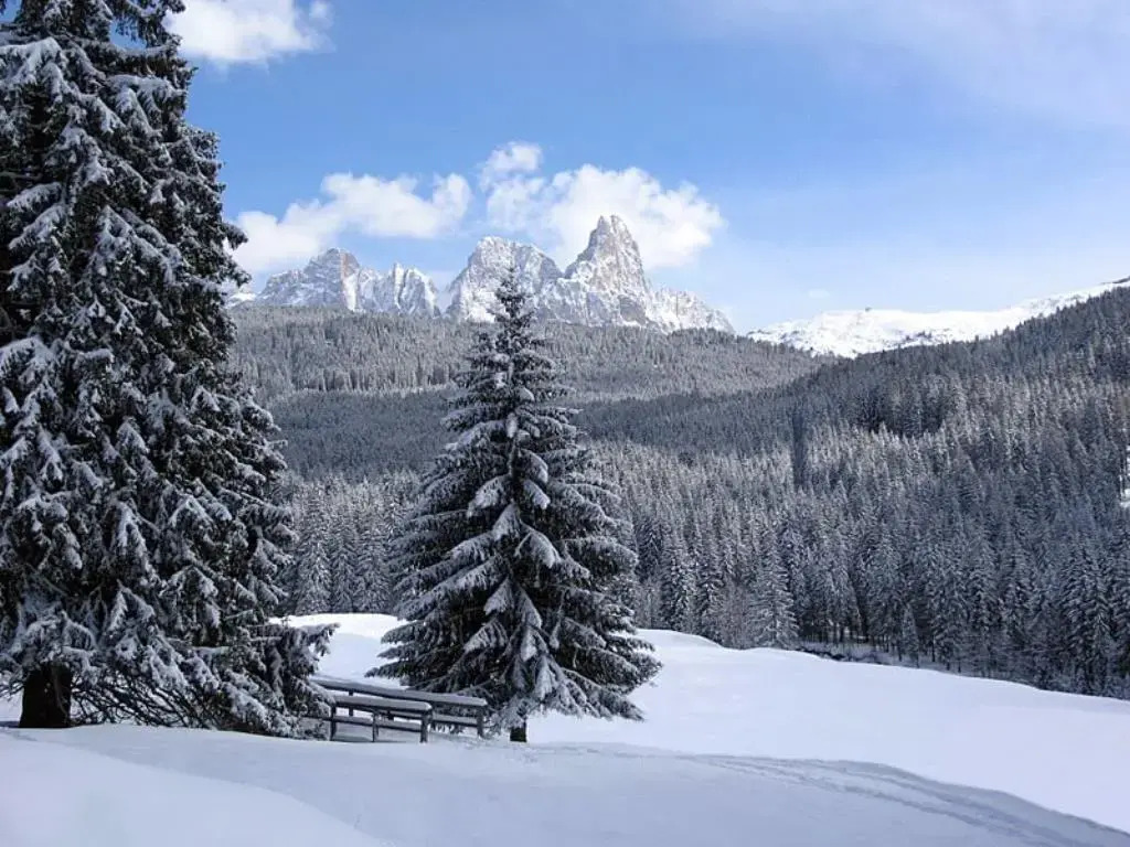 Hotel Stella Alpina