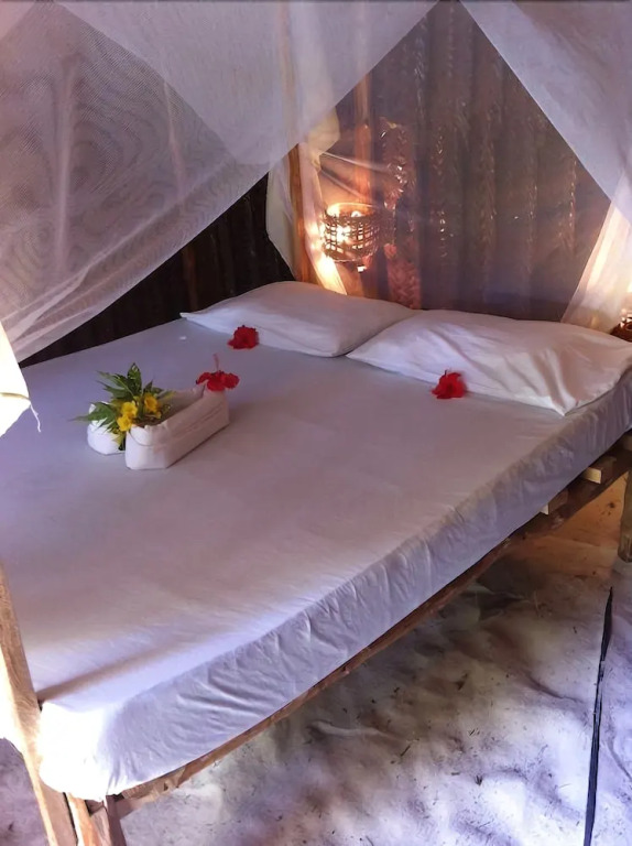 New Teddy's Place - Hostel/Backpacker