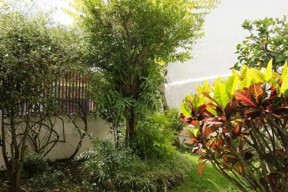 Casa San José