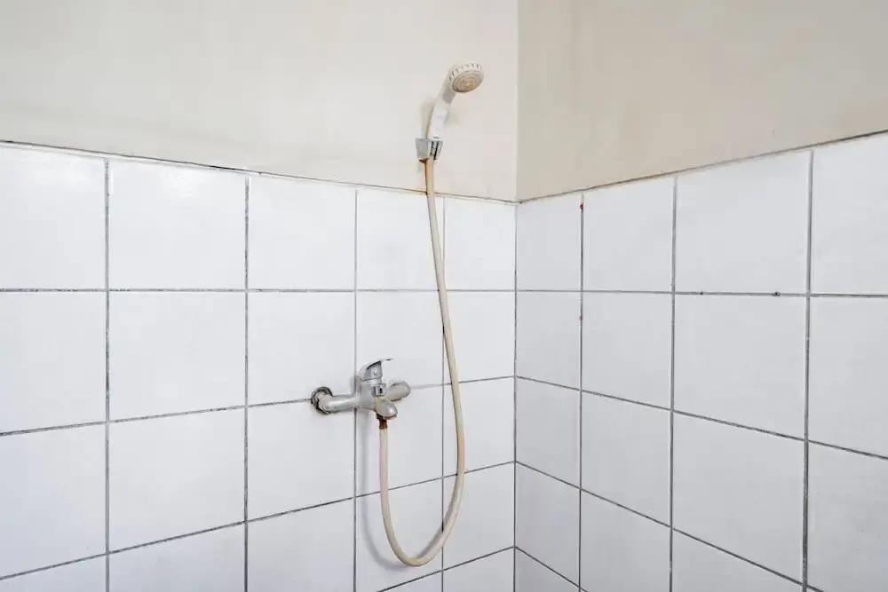 Collection O Hotel Sanira