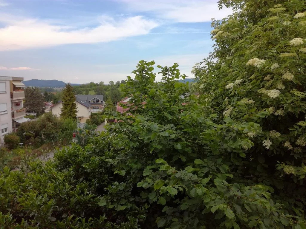 Alte Schreinerei-Auberge Harlekin