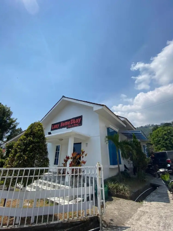 Villa Bromo Potato 2