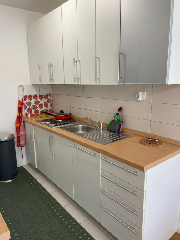 Large Modern Flat with Balcony - Lake Jarun