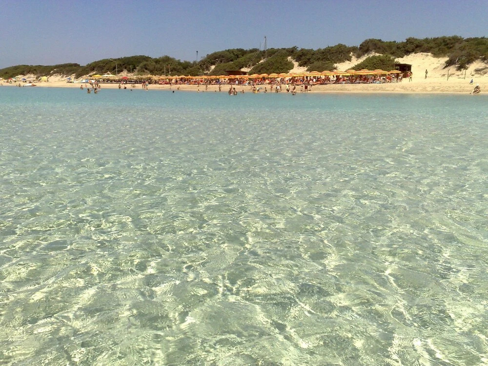 Punta Prosciutto Bed To Rent