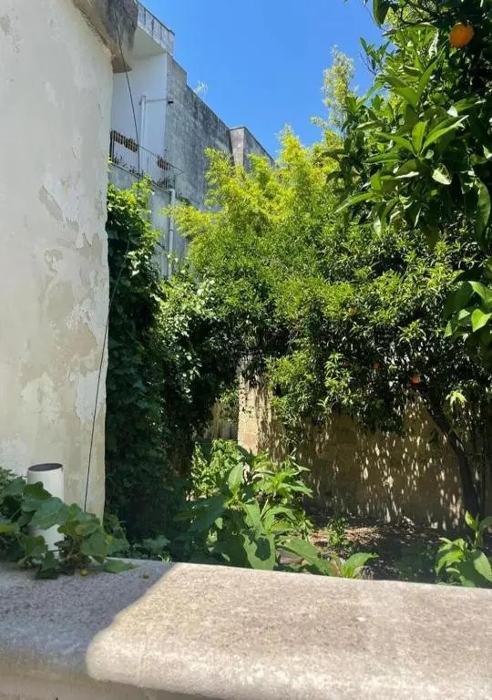 4 Balconi rooms Paladini B&B e appartamenti