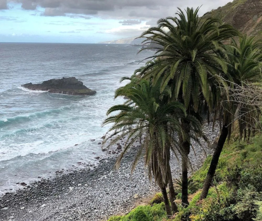 Canary Bio Hostel Tenerife