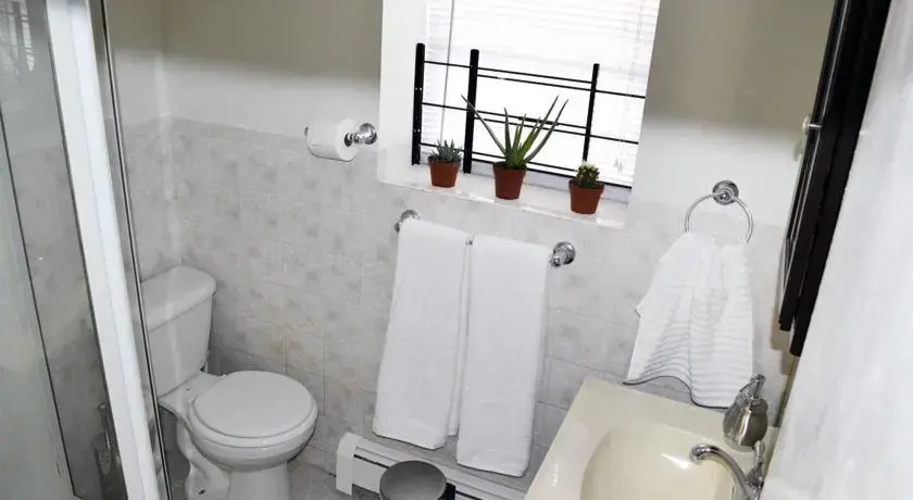 Damaskrentals