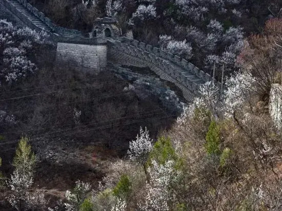 Beijing Guancheng No.9 farmyard