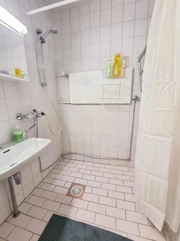 Spacious 4-room apartment in city center