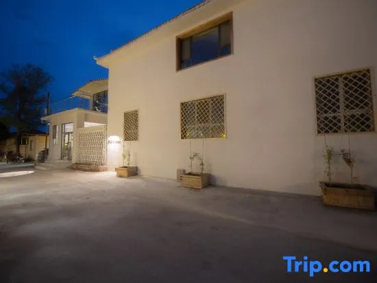 Turks Flip Pigeon Homestay