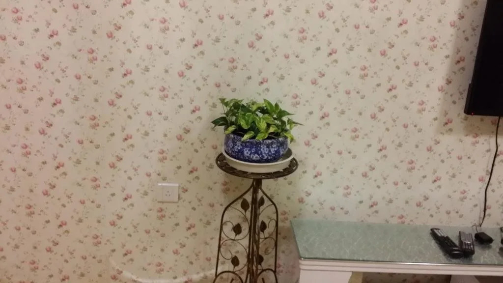 Harbin York Studio Apartment