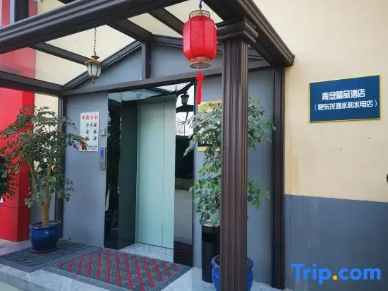 Qingnian Boutique Hotel（FeiDong longtang shuilishuidian dian）