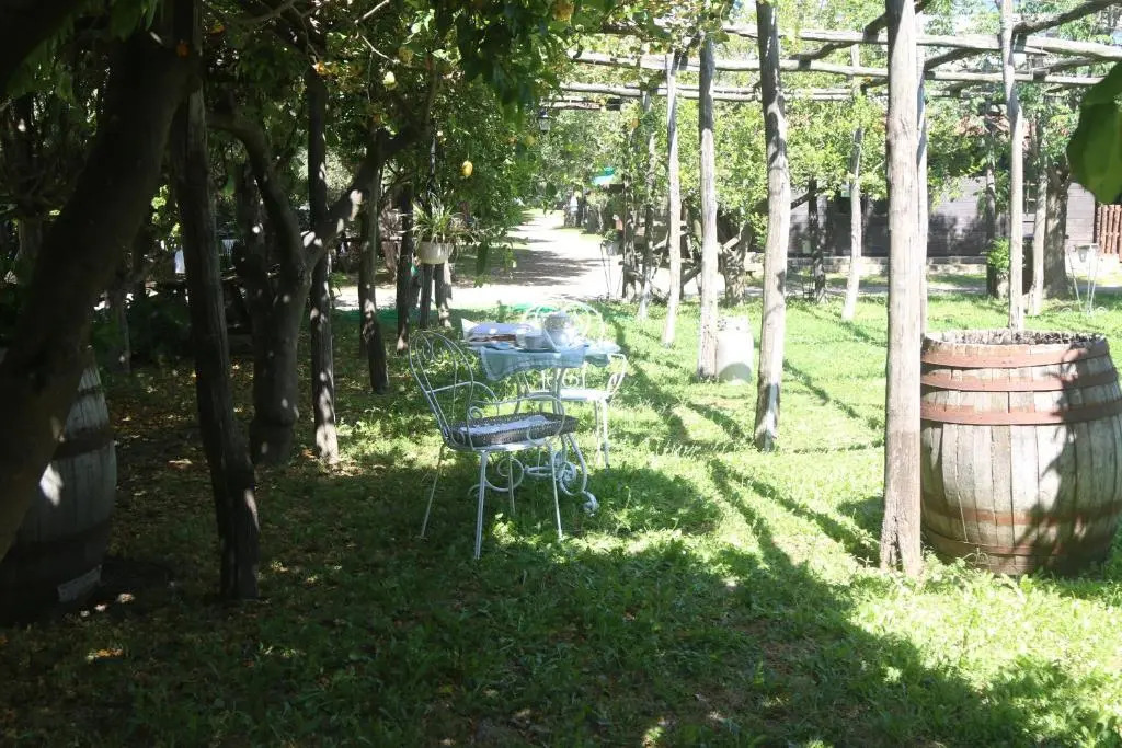 Emy's Country House