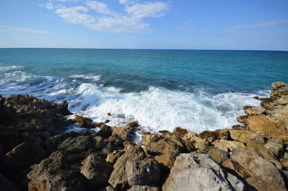 Coconuts Seafront 2BR, Ocho Rios