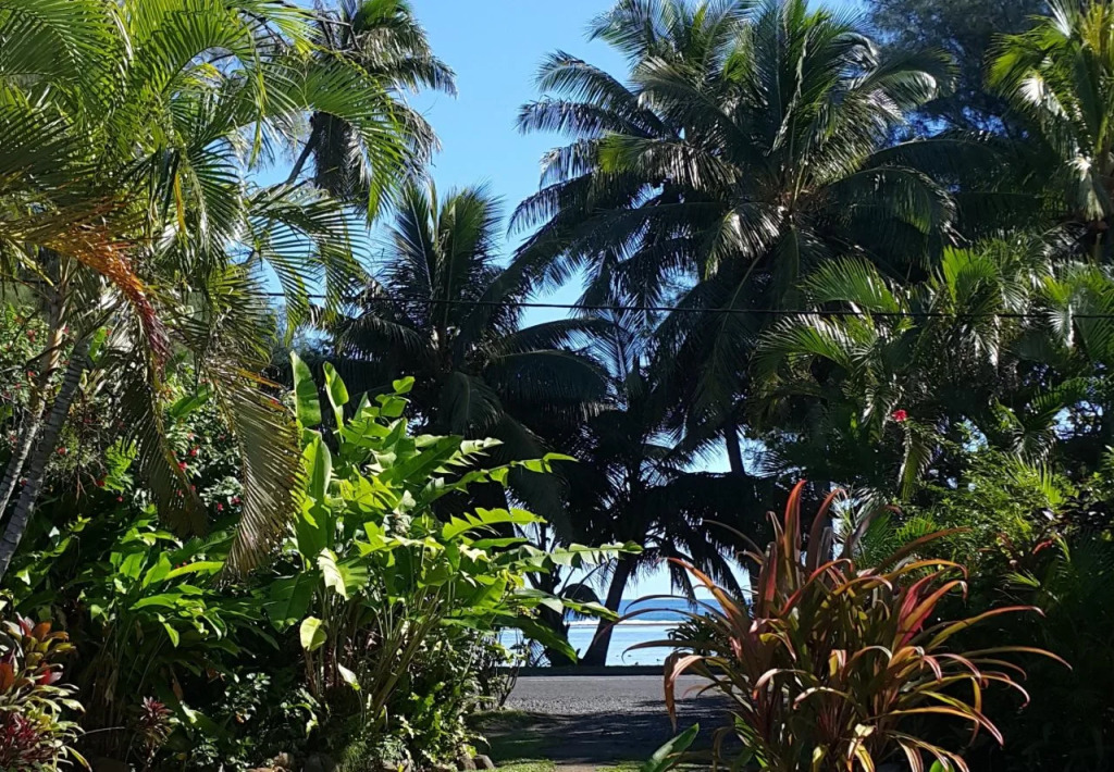 The Black Pearl Beachside Apartments