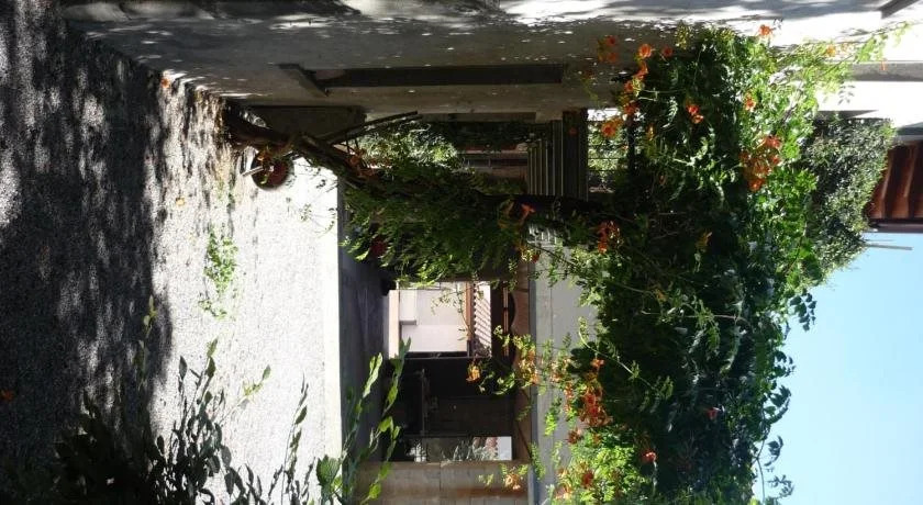 La Corte del Noce