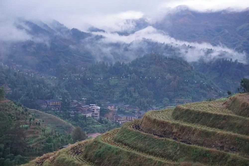 Longji Rice Terraces Green View Guest House