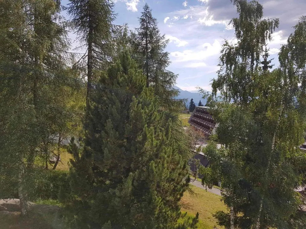 Appartement Les Arcs 1600, 1 pièce, 4 personnes - FR-1-411-454