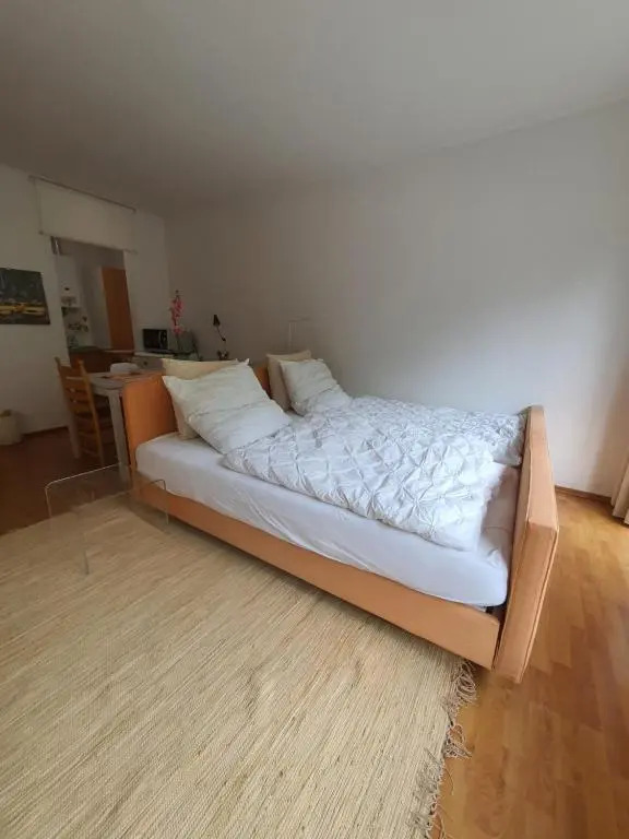 Apartment mit Blick auf das Eversten Holz 42qm