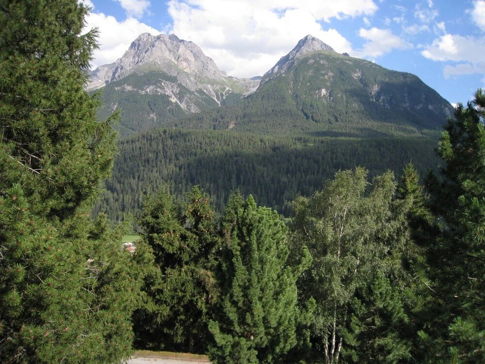 Chasa Diala