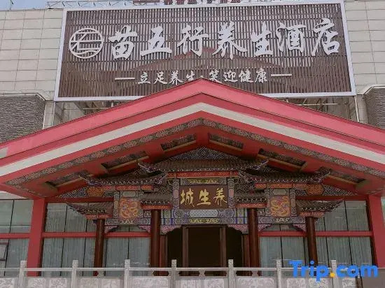 Kaili Miao Wuxing Health Hotel
