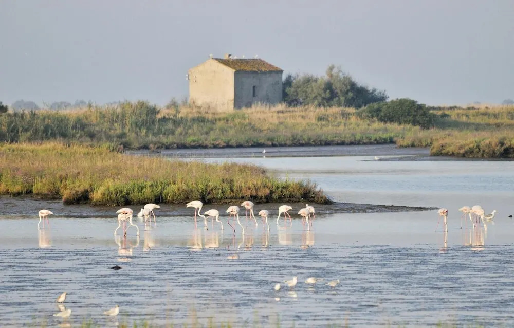 Beautiful Home In Taglio Di Po Ro