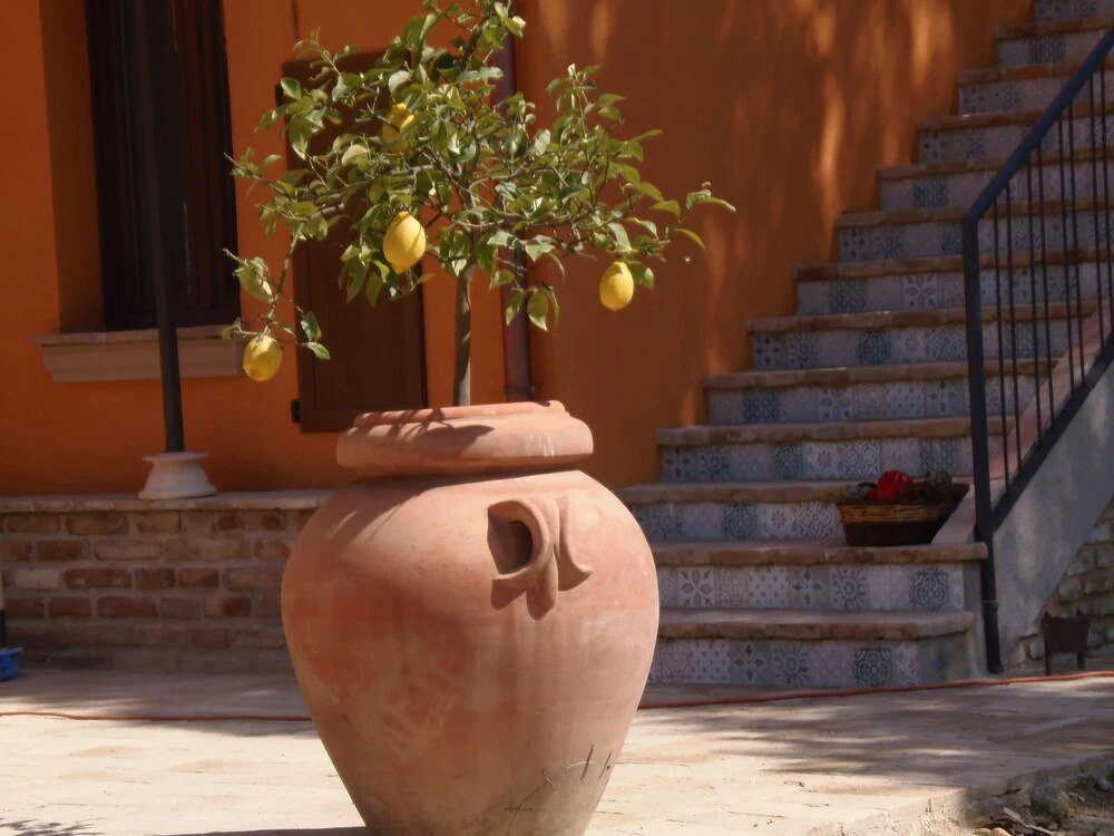 Casa la Concia