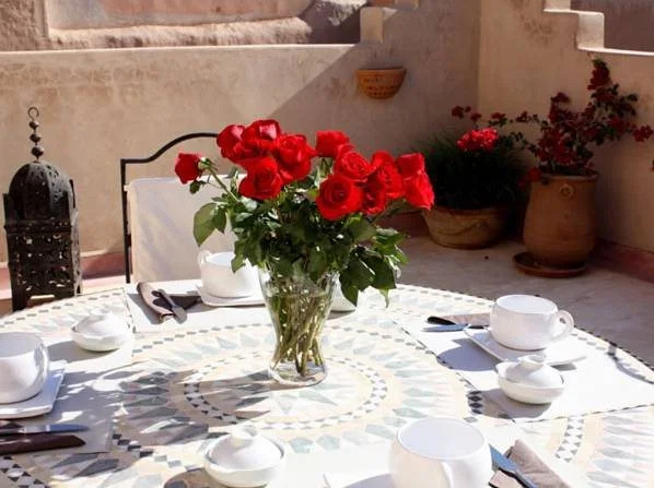 Riad Janoub