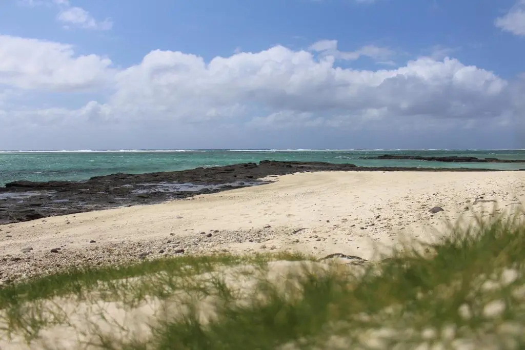 Constance Tekoma - Rodrigues Island