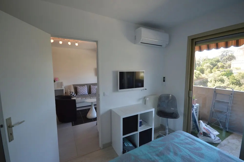 Deluxe One-bedroom Apartment Cannes