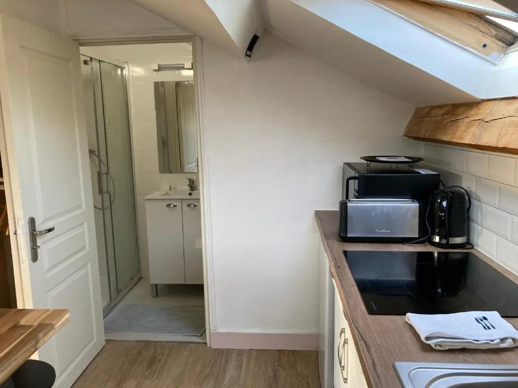 Studio proche Orleans centre