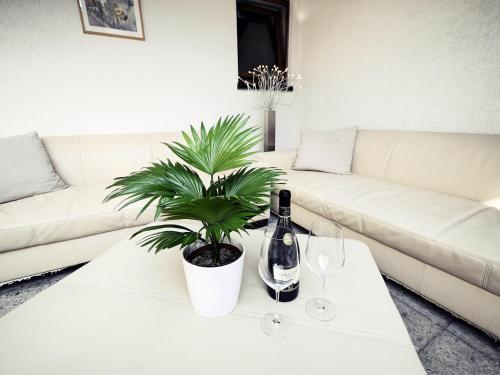 Hotel Pflug