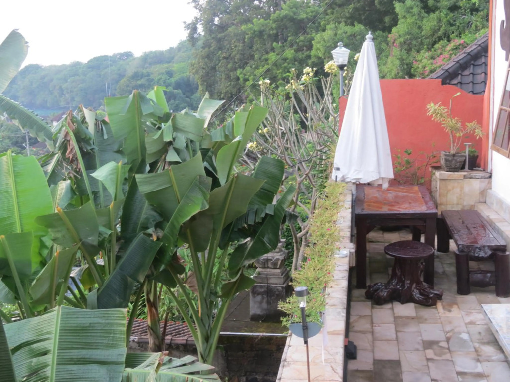 Lemon House