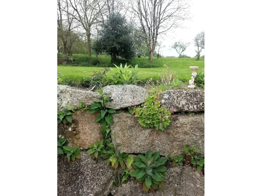 Rosmerryn