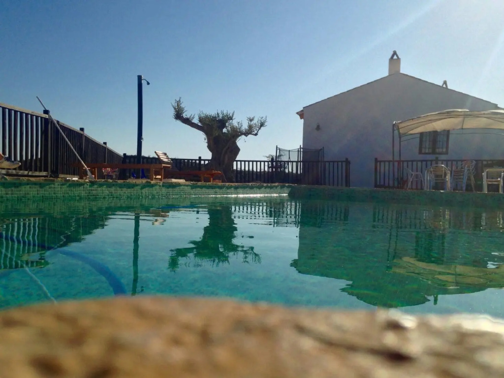 Finca el Pocico