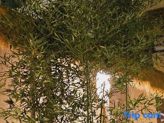 Yuanyuan Na's Garden Homestay (Dali Ancient City Branch)