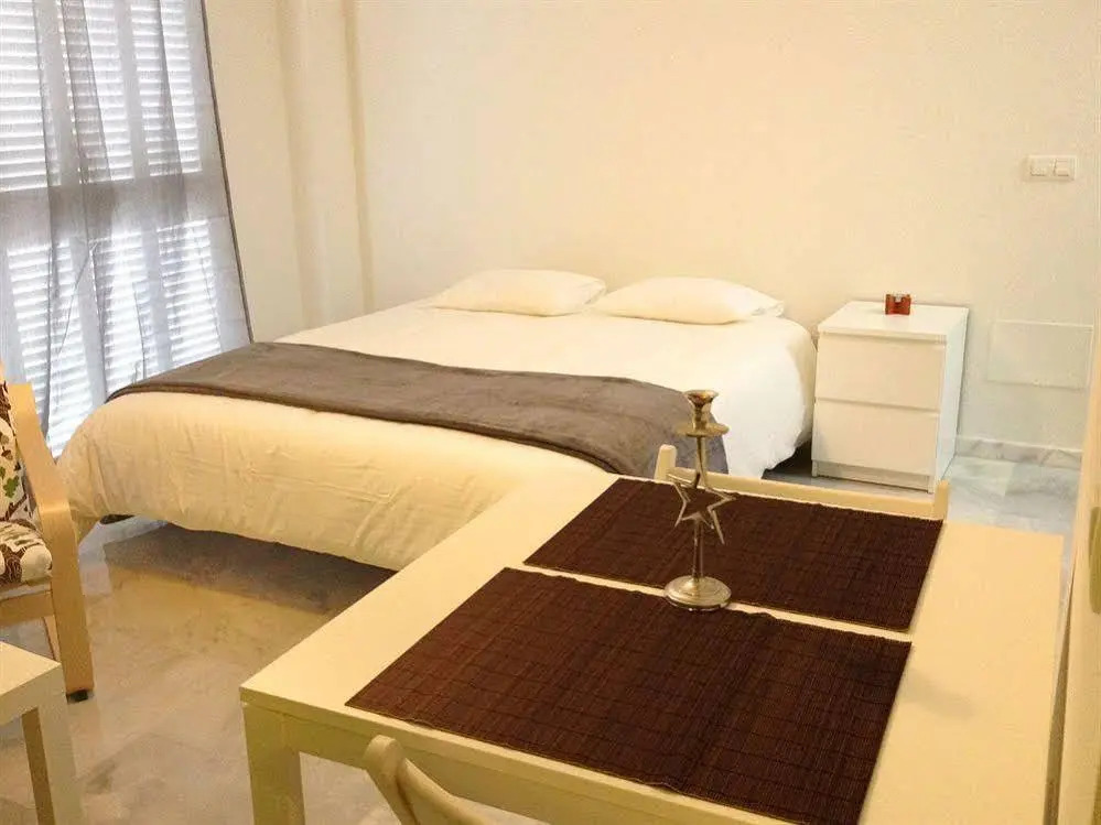 Málaga city Apartment