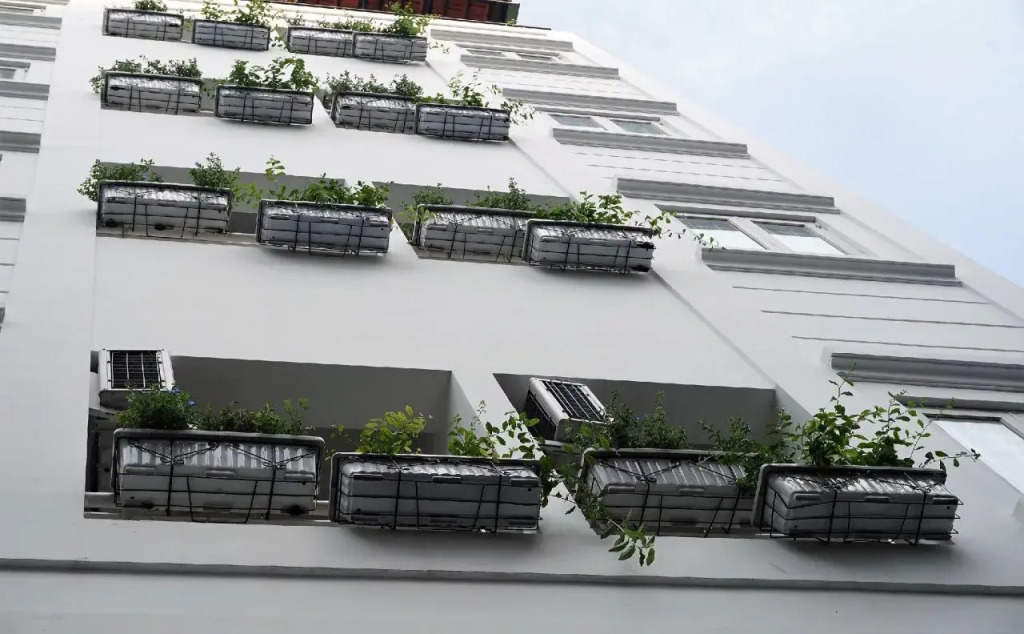Green Suites